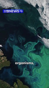 An extra-terrestrial ocean on a distant world could hold the key to one of humanity's greatest questions. 👽 #9News | 9 News Adelaide