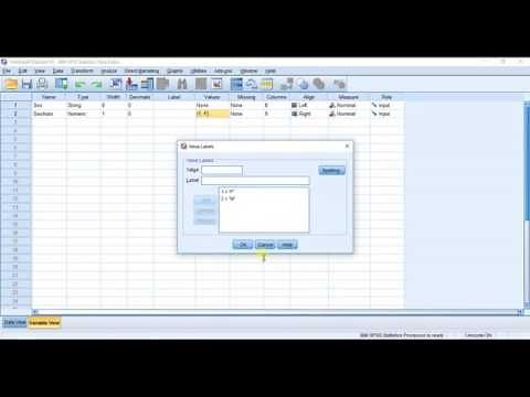 SPSSisFun: Converting Text (string) data to Numeric data