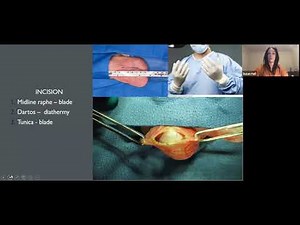 Troublesome Testicles