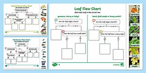 Living Things Classification Pack