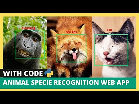 Animal Specie Recognition Web App | Animal Detection in Python using RESNET-50 and Streamlit