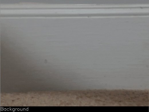 Easy Object Detection With Teachable Machine & Python