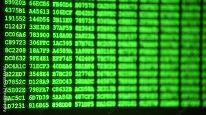Green hex code of computer program on display, programming, hacking, developer or computer source code concept