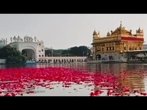 27-March-26 I Divine Amritvele Gurbani Shabad Kirtan I Waheguru Ji 🌹🙏🌹