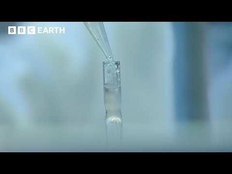 The Origin Of Life | Cell | BBC Science