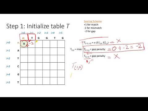 Introduction to Bioinformatics - Needleman Wunsch Algorithm
