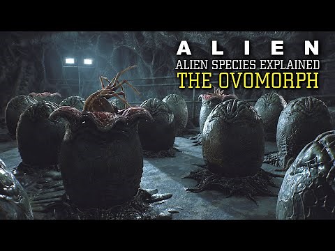 The Ovomorph (Xenomorph Egg) Stage 1 XX121- Alien Species Explained