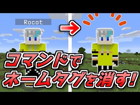 【マイクラJava1.17】超簡単なネームタグの消し方！【コマンド】