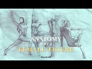 DRAWING FEMALE ANATOMY | Basics Explained + Poses | SkechLAB