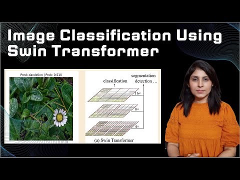 Image Classification Using Swin Transformer