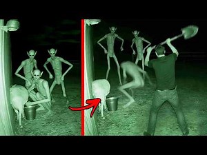 Top 10 Unexplained Creatures Caught Clearly on Camera