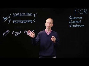 PCR Basics