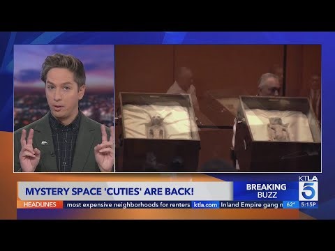 Alien 'bodies' in Mexico apparently contain 30% DNA of ‘unknown species’.....really?