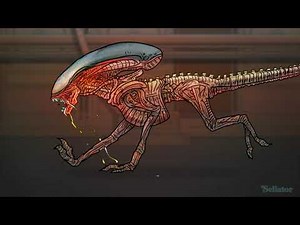 Dog Alien Run Cycle