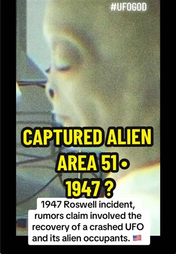 1947 Roswell incident, rumors claim involved the recovery of a crashed UFO and its alien occupants EBE Which stands for extraterrestrial biological entity also known as as common alien gray. Allegedly retrieve from a UFO sighting and crash. #Alien #UFO #UFO #Aliens #ufogod