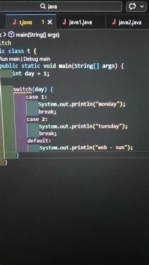 java switch statement program