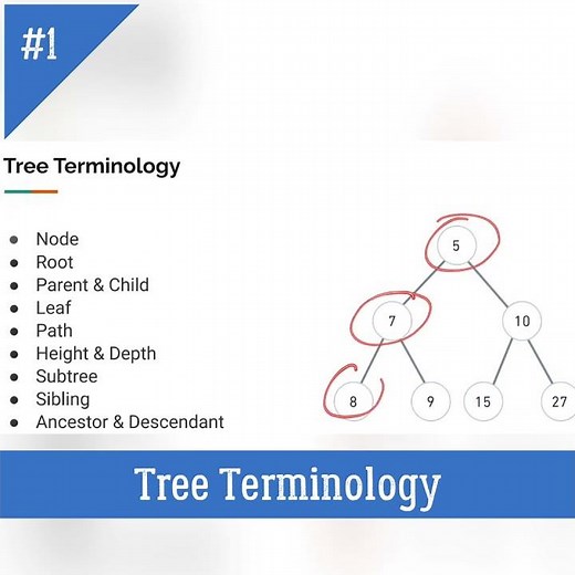 Basic Terminology of Tree | DSA using Python #python #education #placement #binarytree