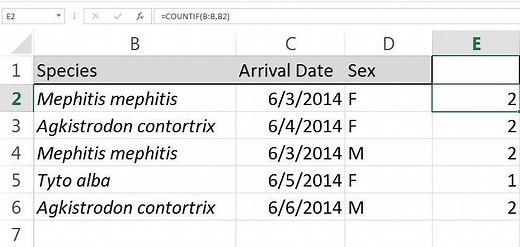 How to count duplicates and unique values in Excel - TechRepublic