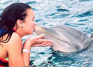 Fields in the Life Sciences ( Read ) | Biology