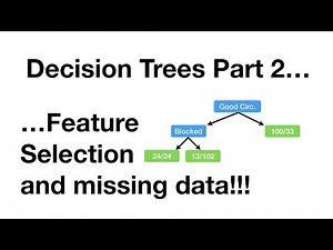 StatQuest: Decision Trees, Part 2 - Feature Selection and Missing Data