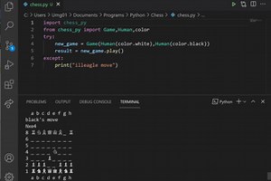 Simulating fav sport -  Chess Game using python