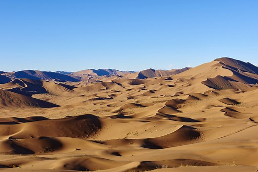 Desert Legend: The Truth Behind the Mongolian Death Worm - Discovery UK