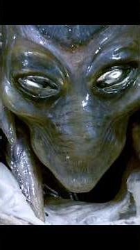 Alien Awakens in the Lab 👽 | “No Peace… Only Death” | Independence Day Sci-Fi Short 🚨