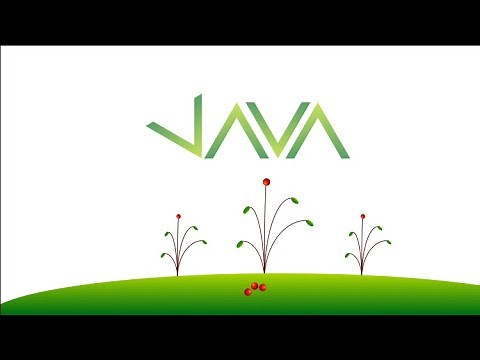 The Structure of a Java Project: Java 11 For Complete Beginners 007
