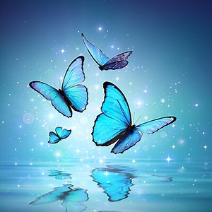 Das Python Bootcamp:  Der komplette Programmierkurs für Anfänger | heise shop