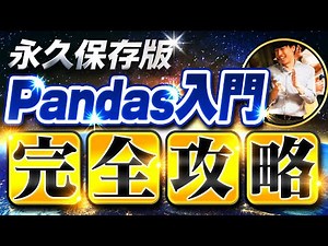 【永久保存版】Pandas入門完全攻略【基礎文法60個をマスター】