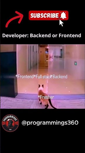Back-end VS Front-end VS Beginner #html5 #css3 #javascript #nodejs #php #mysql #programmer #shorts