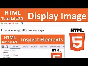 HTML Tutorial #30 - How To Display Image in HTML (img tag)
