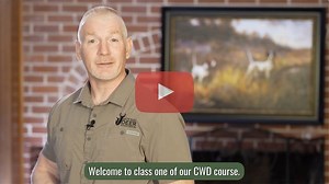 Chronic Wasting Disease (CWD) Resource Center | National Deer Association