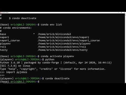 Master the basics of Conda environments in Python