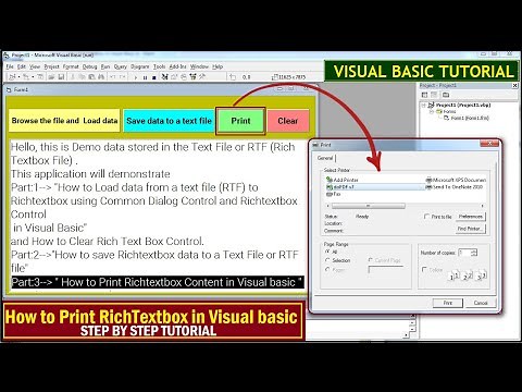 How to print content of a RichTextBox Control in Visual basic | Printing RichTextBox |Print to a pdf