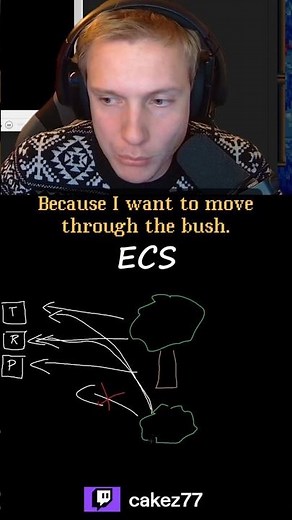 What is an ECS (Entity Component System)