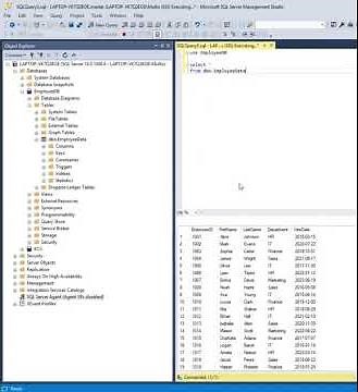 Connect SQL Data to Excel Userforms with VBA (Simple & Powerful)