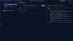 How To Make HTTP Requests in VS Code (No Postman) - CodevoWeb