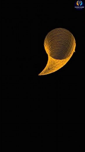 Python code Create logo in python #shorts #python #codewithme #coding #dataanalytics