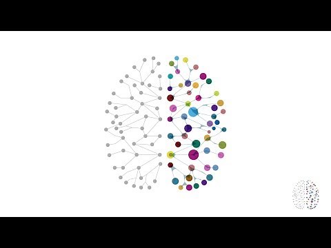 Neuroplasticity Explained