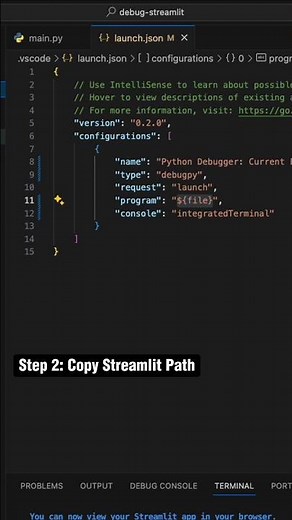 3 Easy Step to Debug your Python Streamlit App! #python #coding #application #ai #debugging #easy