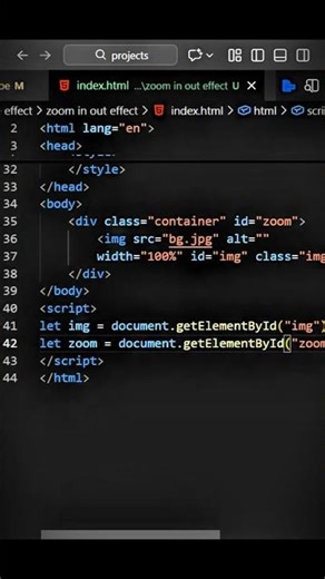 Zoom In–Zoom Out Effect on Click Using JavaScript 🔥| Day 57/100 JS Mini Project