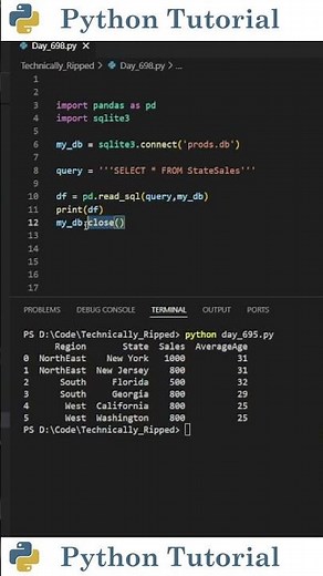 The Best Way to Use Pandas with SQLite | Python Tutorial