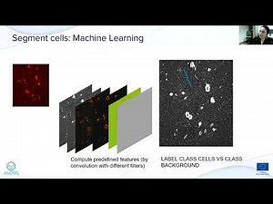 Image Classification and Segmentation using Deep Learning