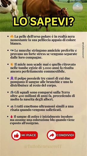 🤯 Lo sapevi? 7 Verità sulla Natura che sembrano Bugie