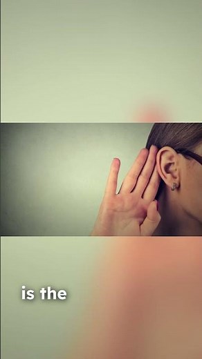 Encoding & Decoding in the Communication Process