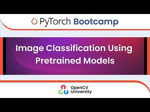 Pytorch Bootcamp for Beginners - 4 | Image Classification Using Pretrained Models
