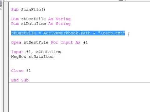 26. Introduction to Programming with VBA - Read Data from a Text File