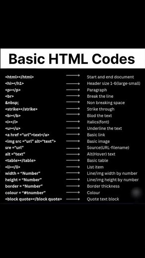 Master the Basics of HTML in Minutes!