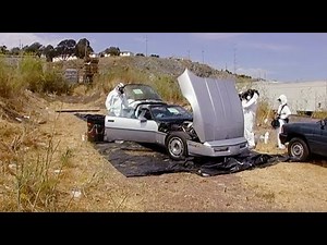 Grossest MythBusters Myth